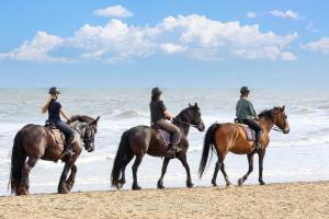 Manege de Dankbare (April 2026) - #1