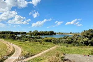 Krekengebied de Schelphoek - 1