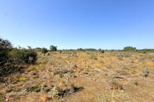 Berkheide (July 2026) - #1
