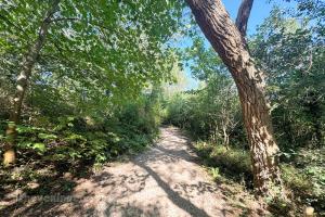 Boswachterij Noordwijk (July 2026) - #1