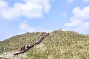 Kaapsdune