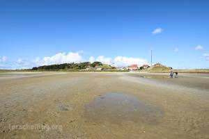 Het Groene Strand - 1