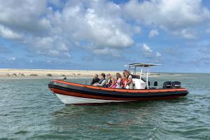 Seehundtour mit dem RIB