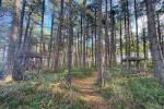 't Speulbos (October 2025) - #2