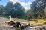 't Speulbos (October 2025) - #3