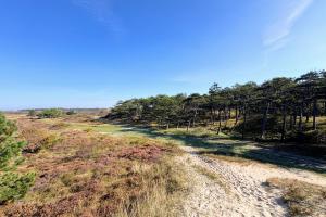 Westerduinen - 1
