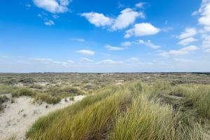 Horspolders & Kreeftepolder - 1