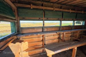 item Vogelhut De Wilster