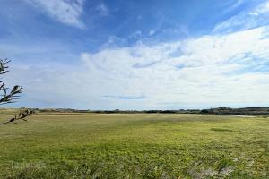 Kijkscherm Renvogelveld - 1