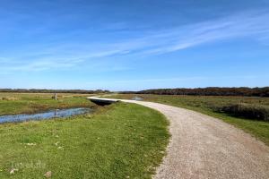 Zone dunaire De Nederlanden - 1