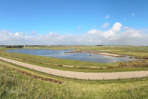 De Petten