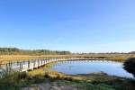 Fietsbrug Tureluur (October 2025) - #2
