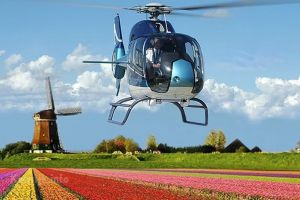 Hubschrauberflug über Blumenfelder