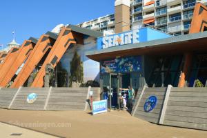 Sea Life Scheveningen - 1