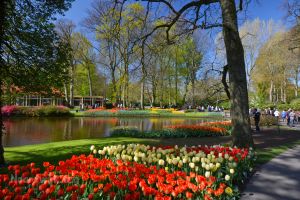 Keukenhof - 1