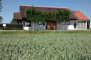 Ringdijk Noord II - VZ1166