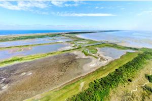 Kroon’s Polders