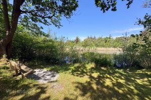 Nieuwe Kooi (May 2026) - #1