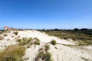 Sint-Laureinsduinen