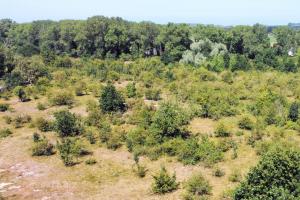 Amsterdamse Waterleidingduinen