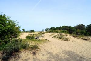 Kennemerduinen