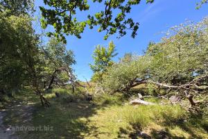 Heerenduinen