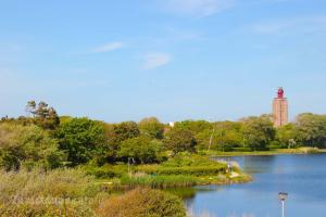 Westkapelle Creek and Forest - 1